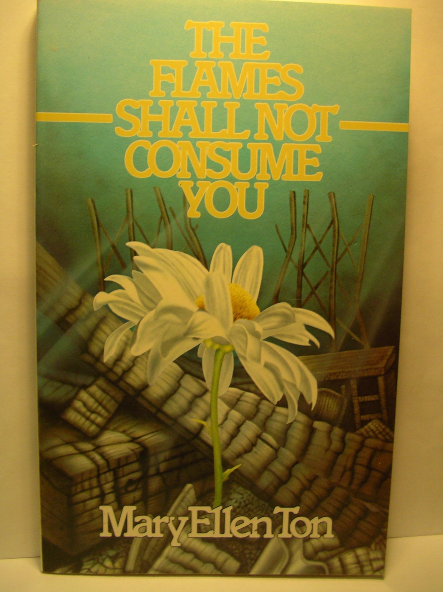 The Flames Shall Not Consume You