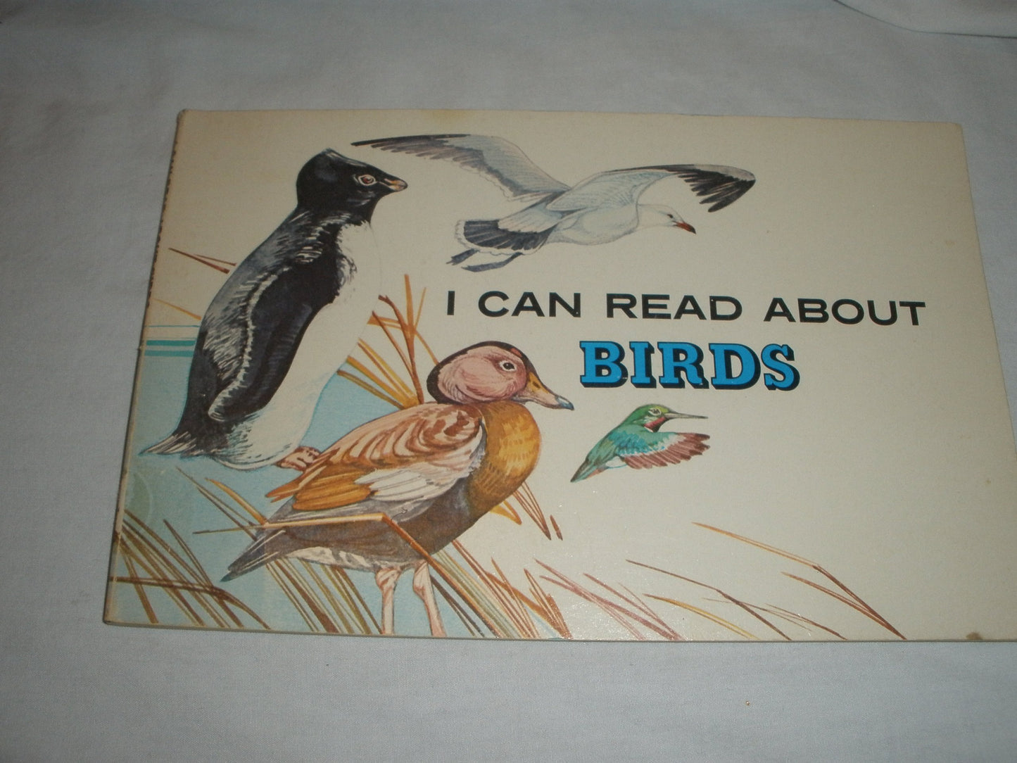I Can Read About Birds