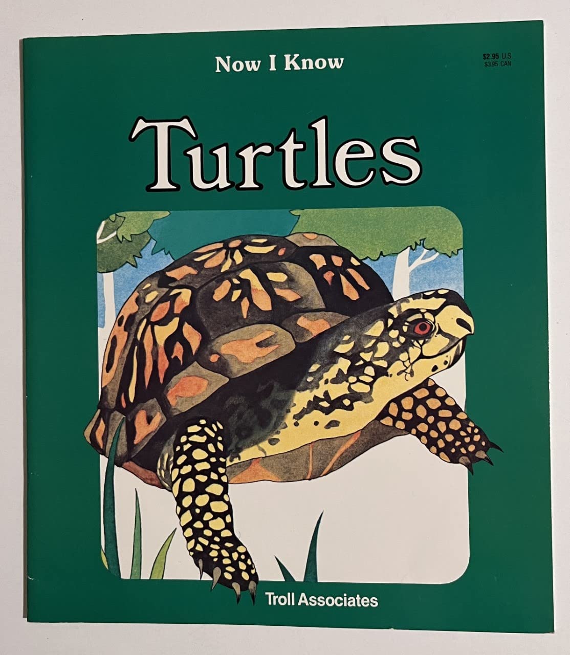 Turtles (Now I Know)
