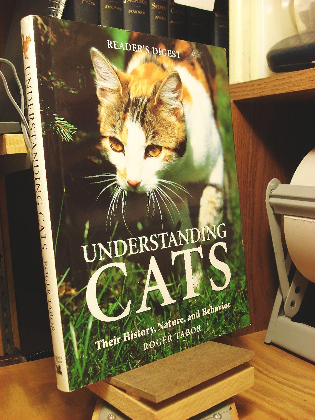 Understanding Cats