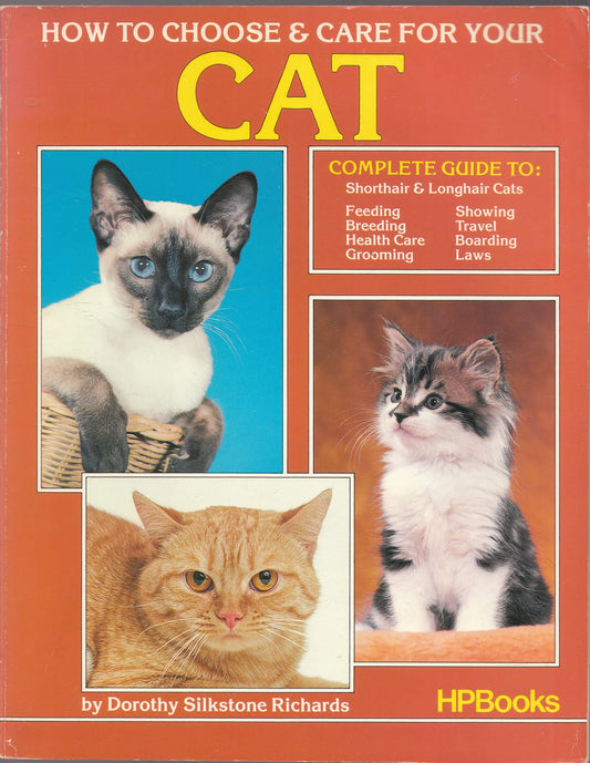 How to Choose and Care for Your Cat