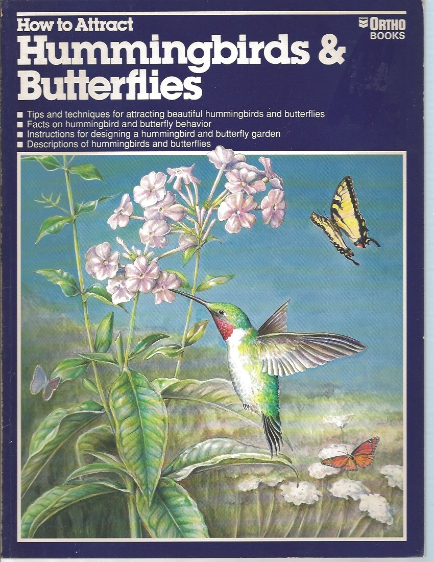 How to Attract Hummingbirds & Butterflies