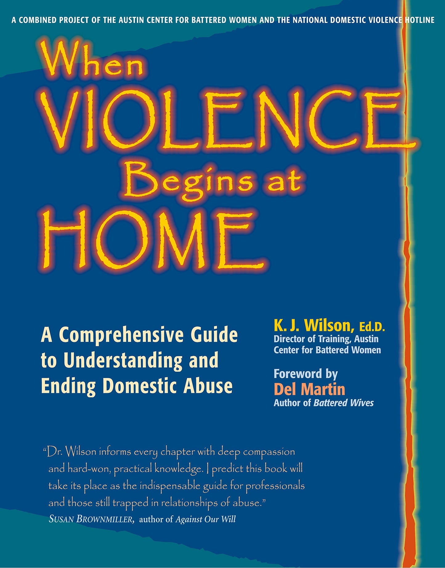 When Violence Begins at Home: A Comprehensive Guide to Understanding and Ending Domestic Abuse - 8058