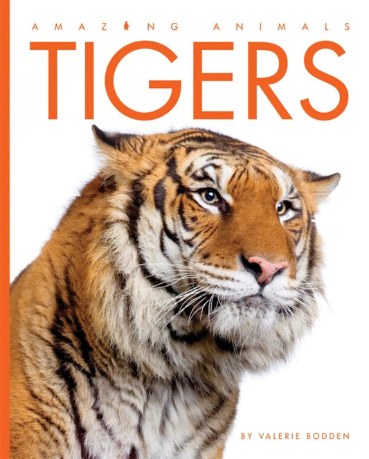Amazing Animals: Tigers