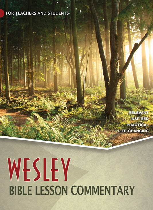 Wesley Bible Lesson Commentary: Relevant, Inspired, Practical, Life-changing (Wesley Bible Curriculum, 4)