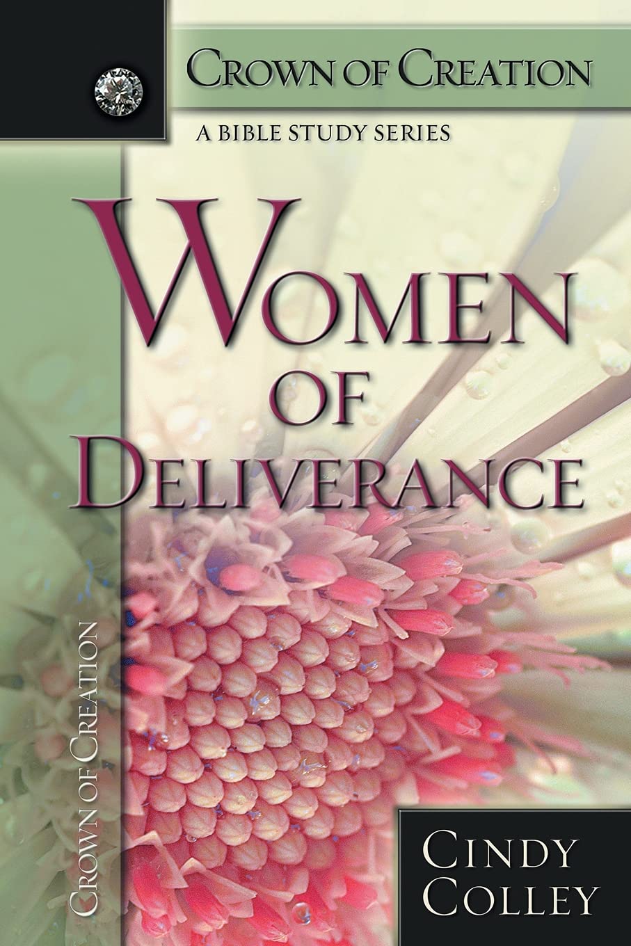 Women of Deliverance (Crown of Creation: A Bible Study Series)
