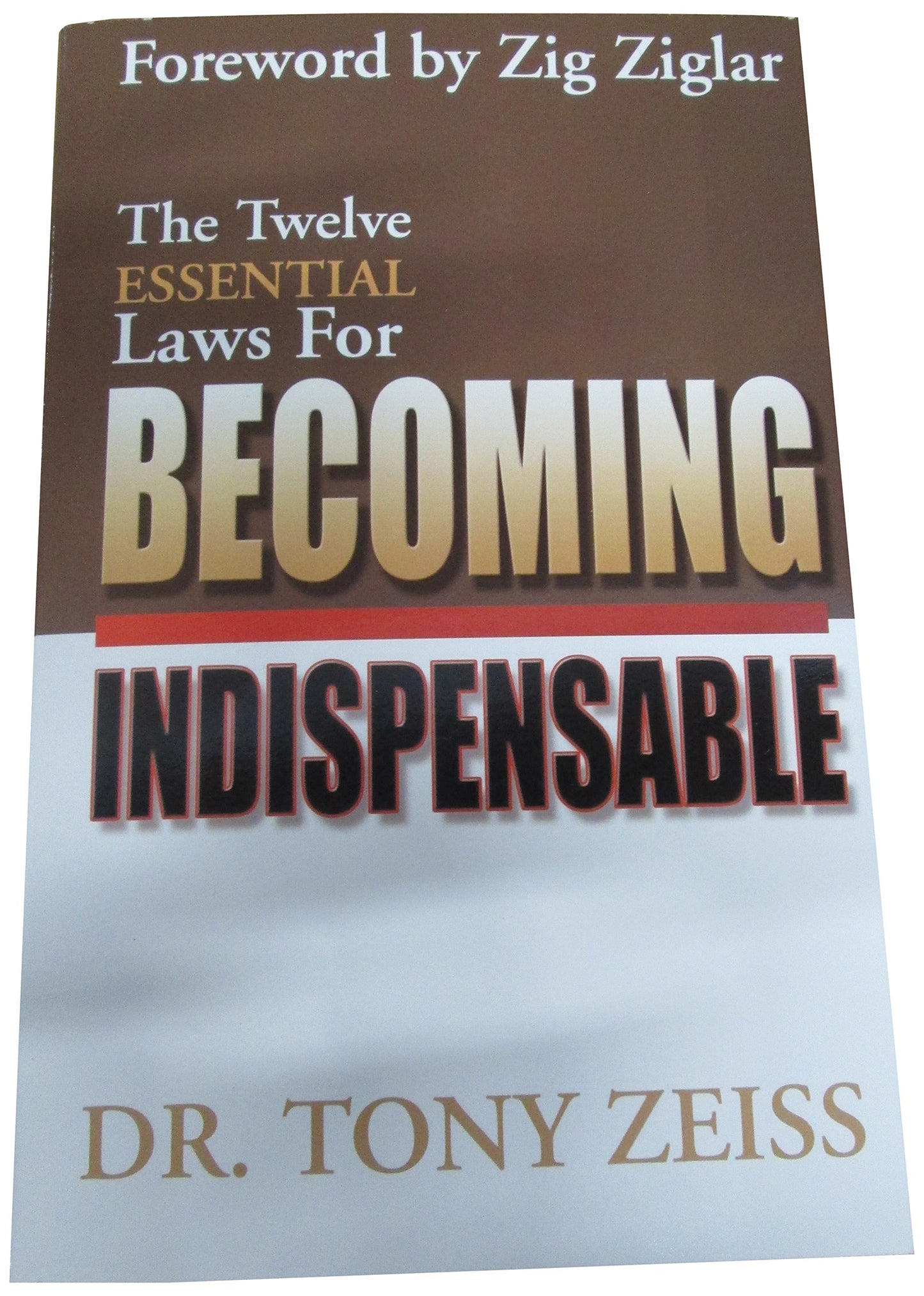 Twelve Essential Laws for Becoming Indispensable