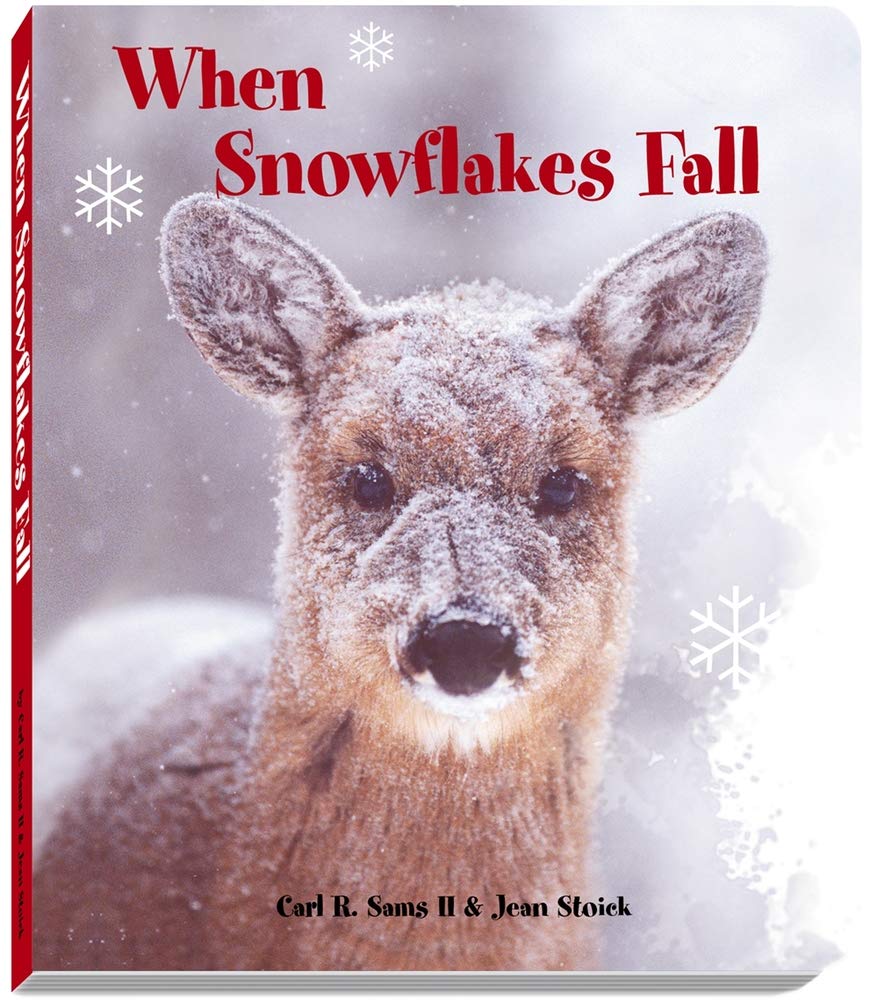 When Snowflakes Fall