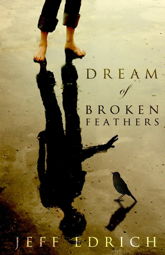 Dream of Broken Feathers