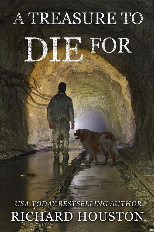 A Treasure to Die For (Books to Die for)