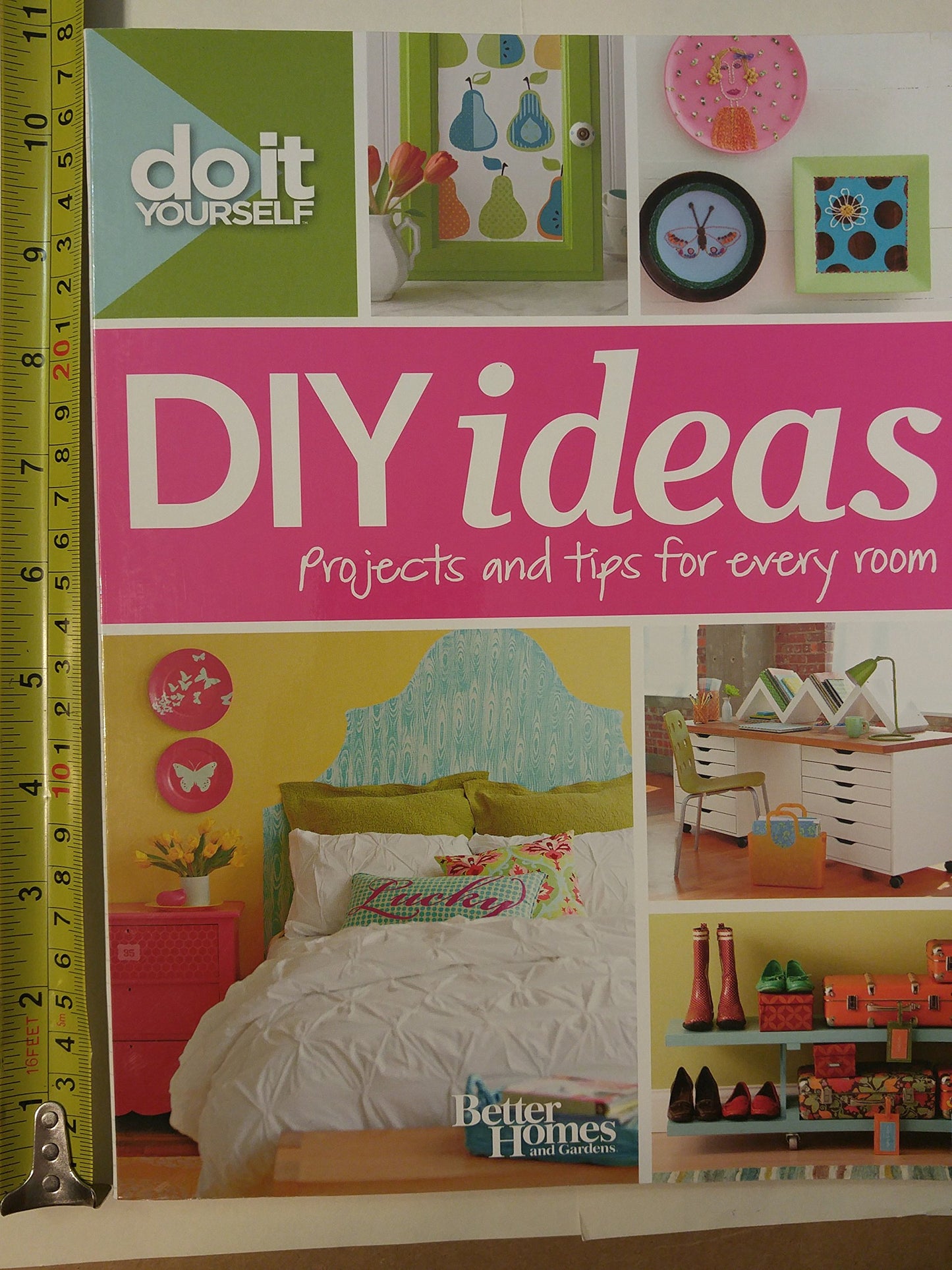 Better Homes and Gardens Do It Yourself: DIY Ideas (Better Homes and Gardens Home)