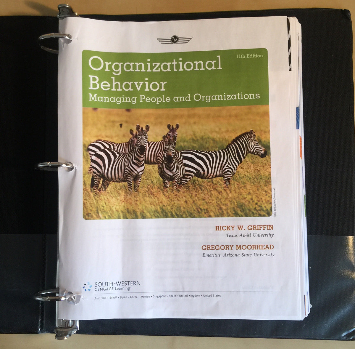 Organizational Behavior: Managing People and Organizations