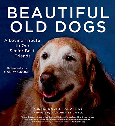 Beautiful Old Dogs: A Loving Tribute to Our Senior Best Friends