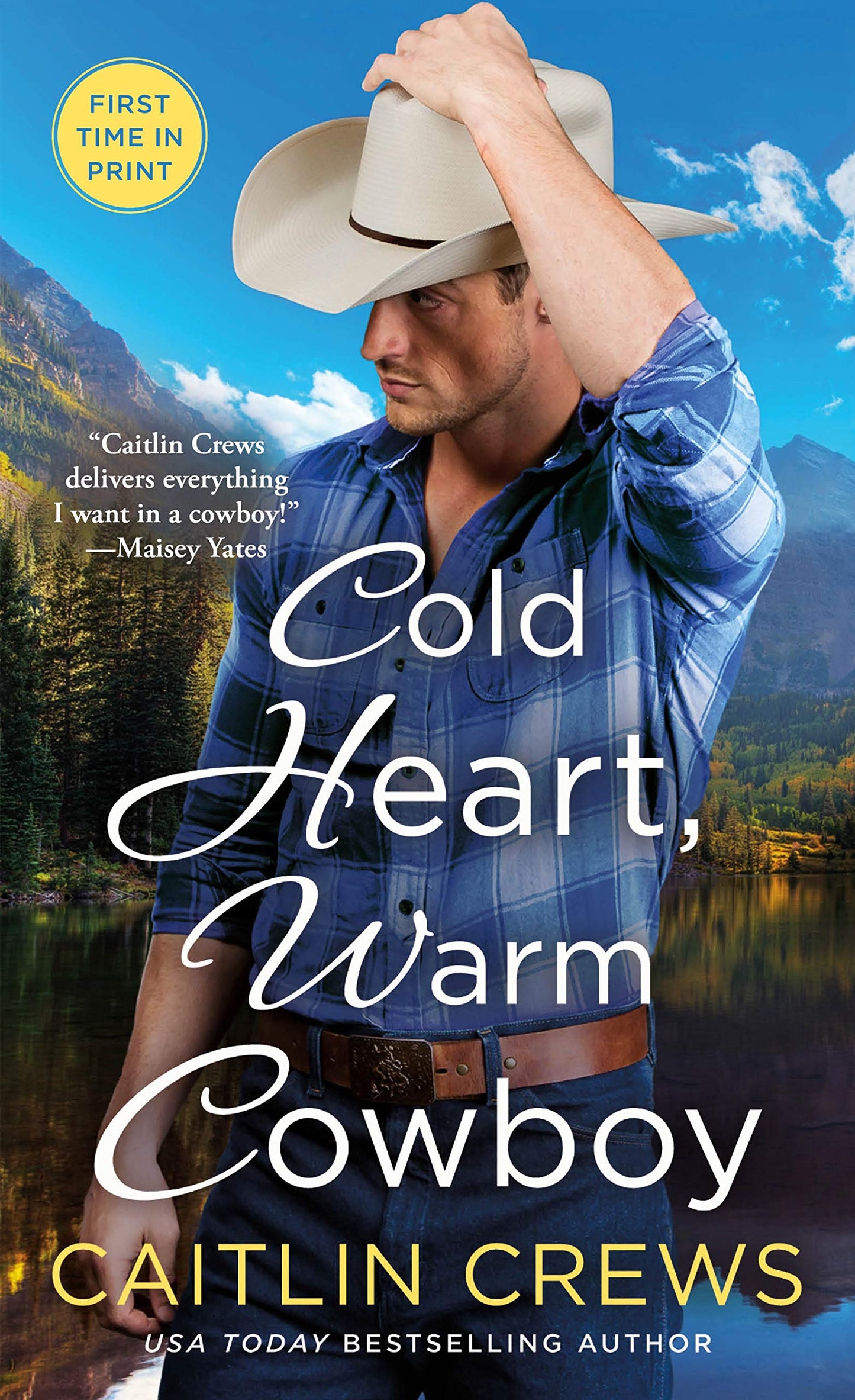 Cold Heart, Warm Cowboy (Cold River Ranch, 2)