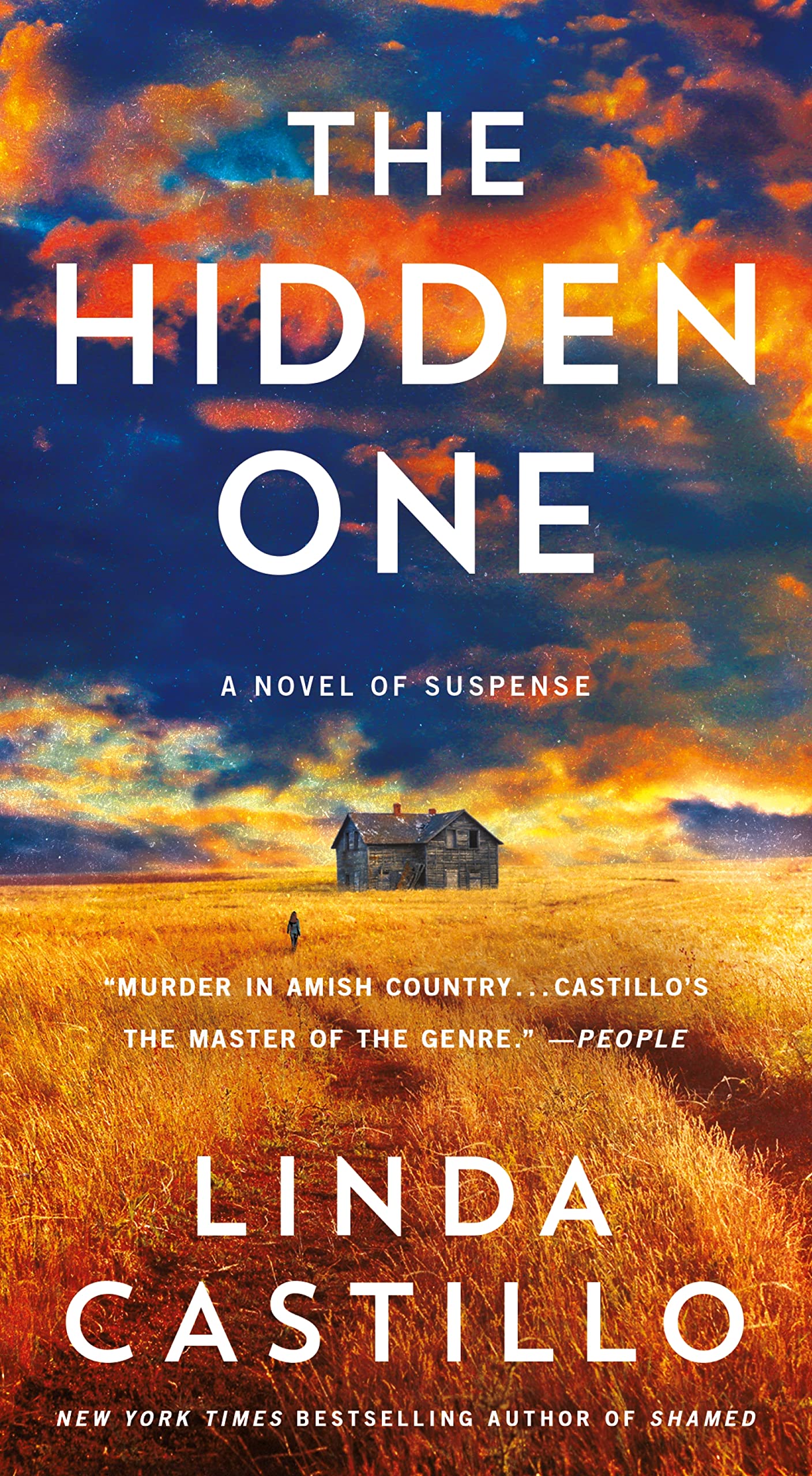The Hidden One: A Novel of Suspense (Kate Burkholder, 14)