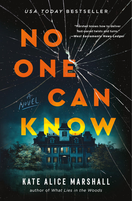 No One Can Know: A Novel