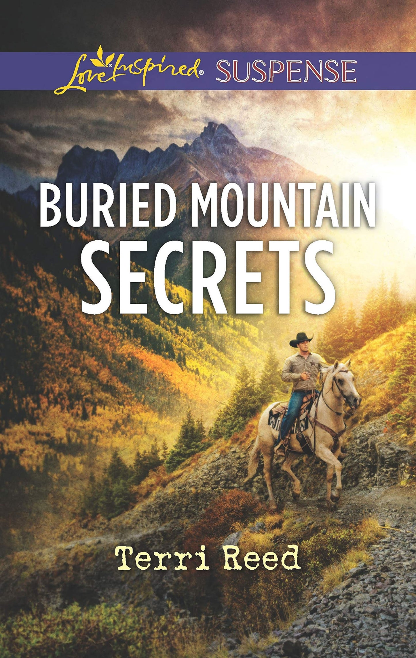 Buried Mountain Secrets (Harlequin Love Inspired Suspense)