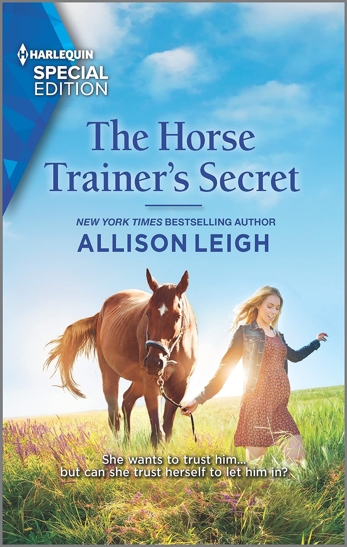 The Horse Trainer's Secret (Return to the Double C, 17)