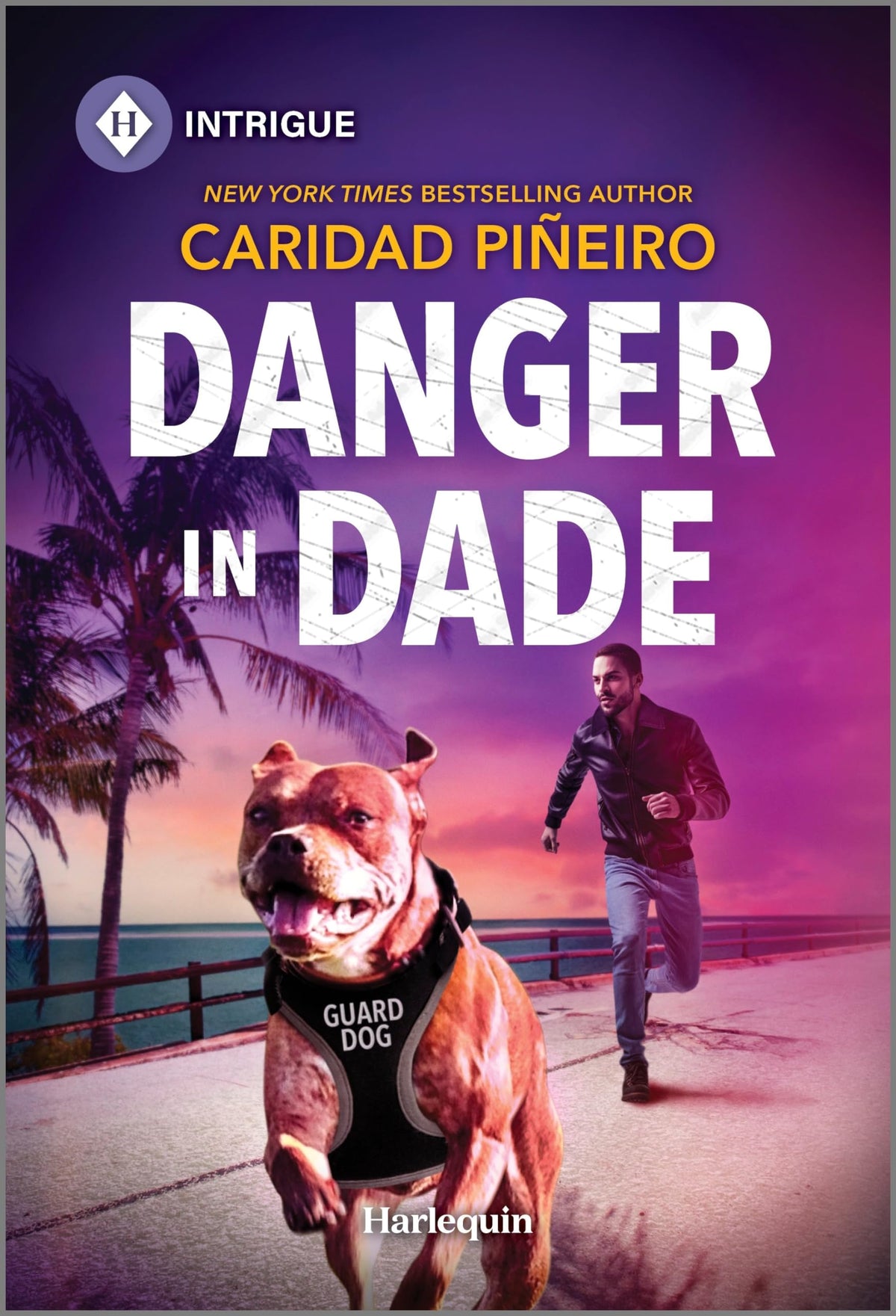 Danger in Dade (South Beach Security: K-9 Division, 4)