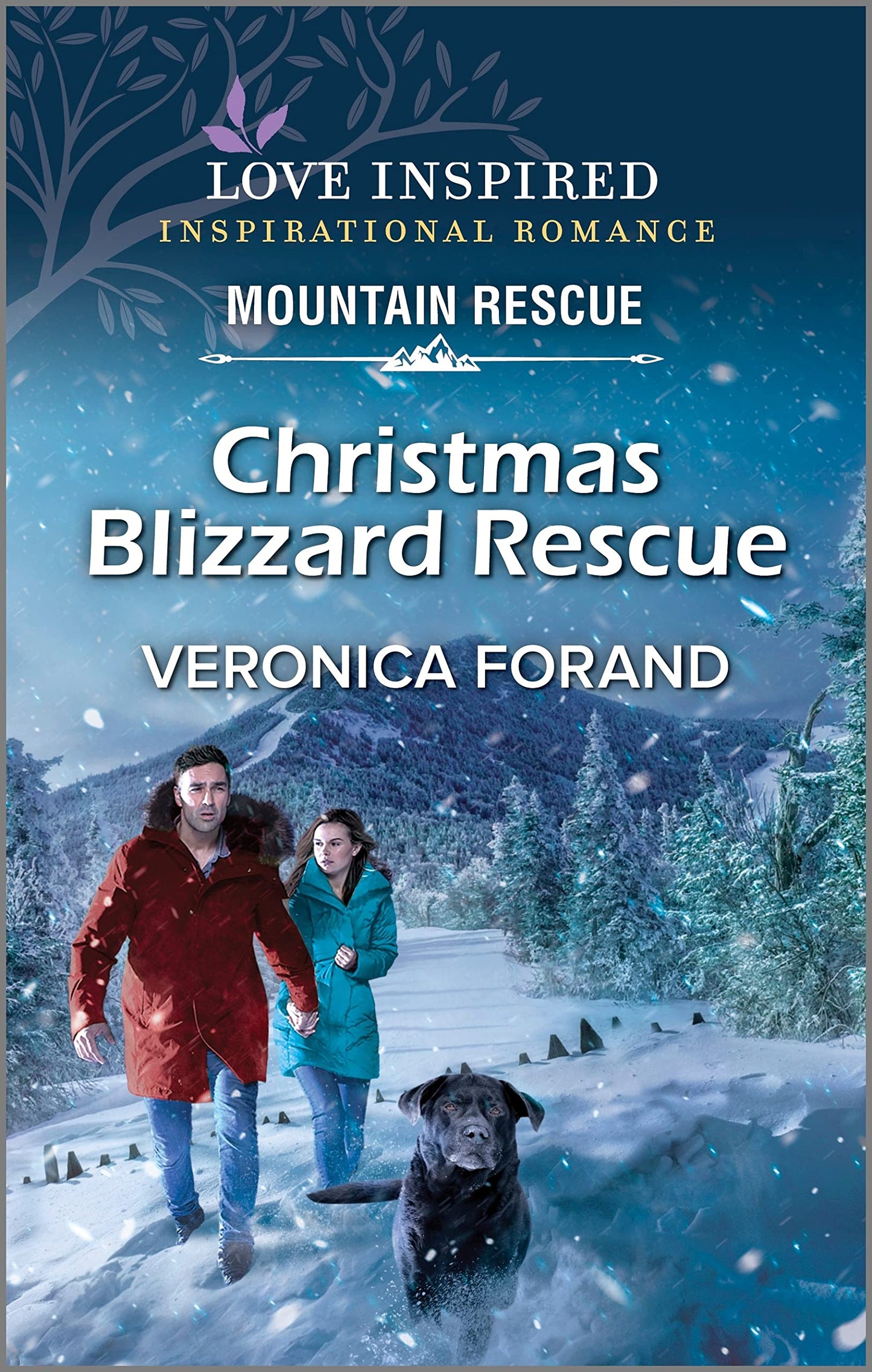 Christmas Blizzard Rescue (Love Inspired: Mountain Rescue)