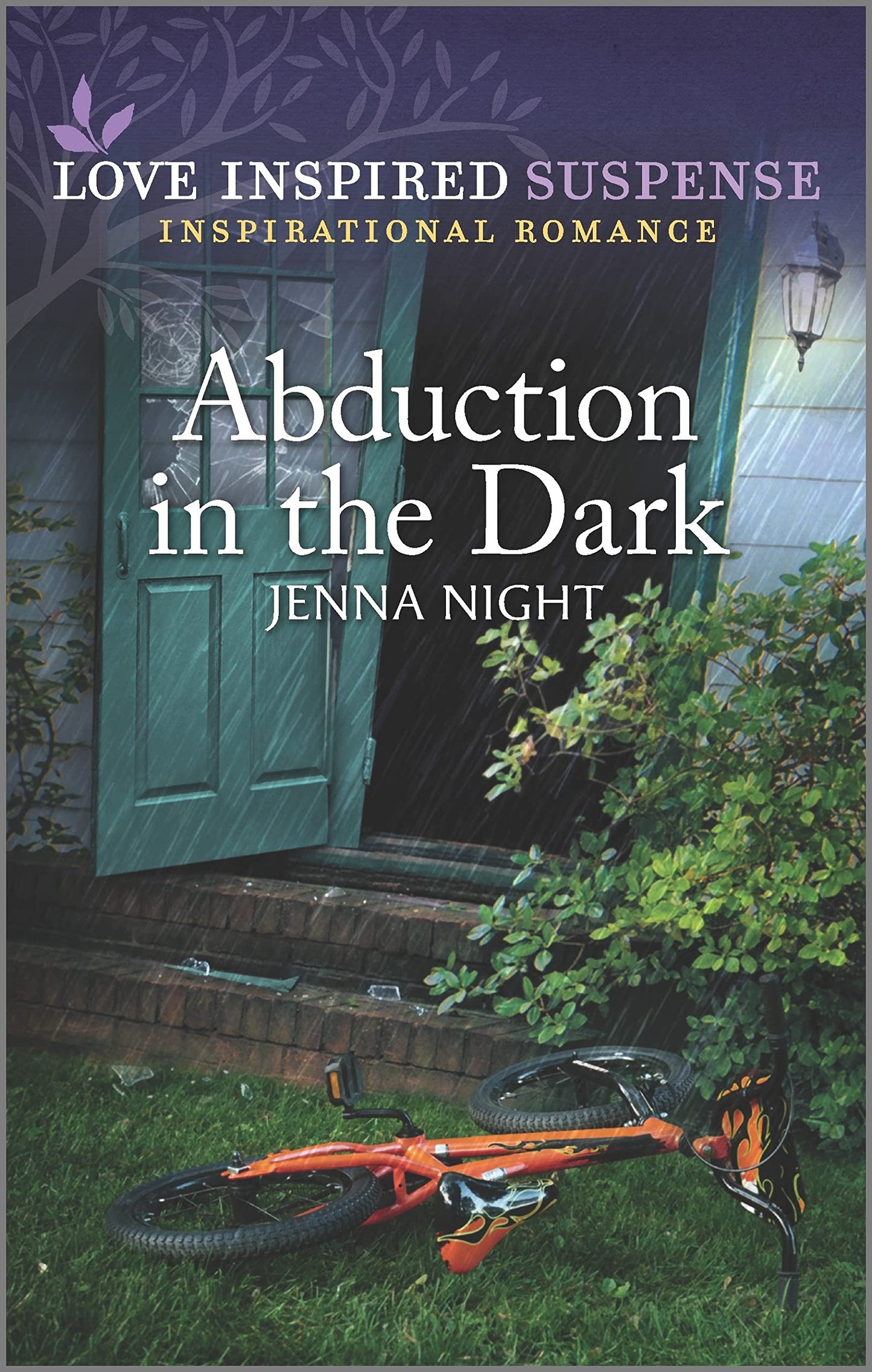 Abduction in the Dark (Range River Bounty Hunters, 1)