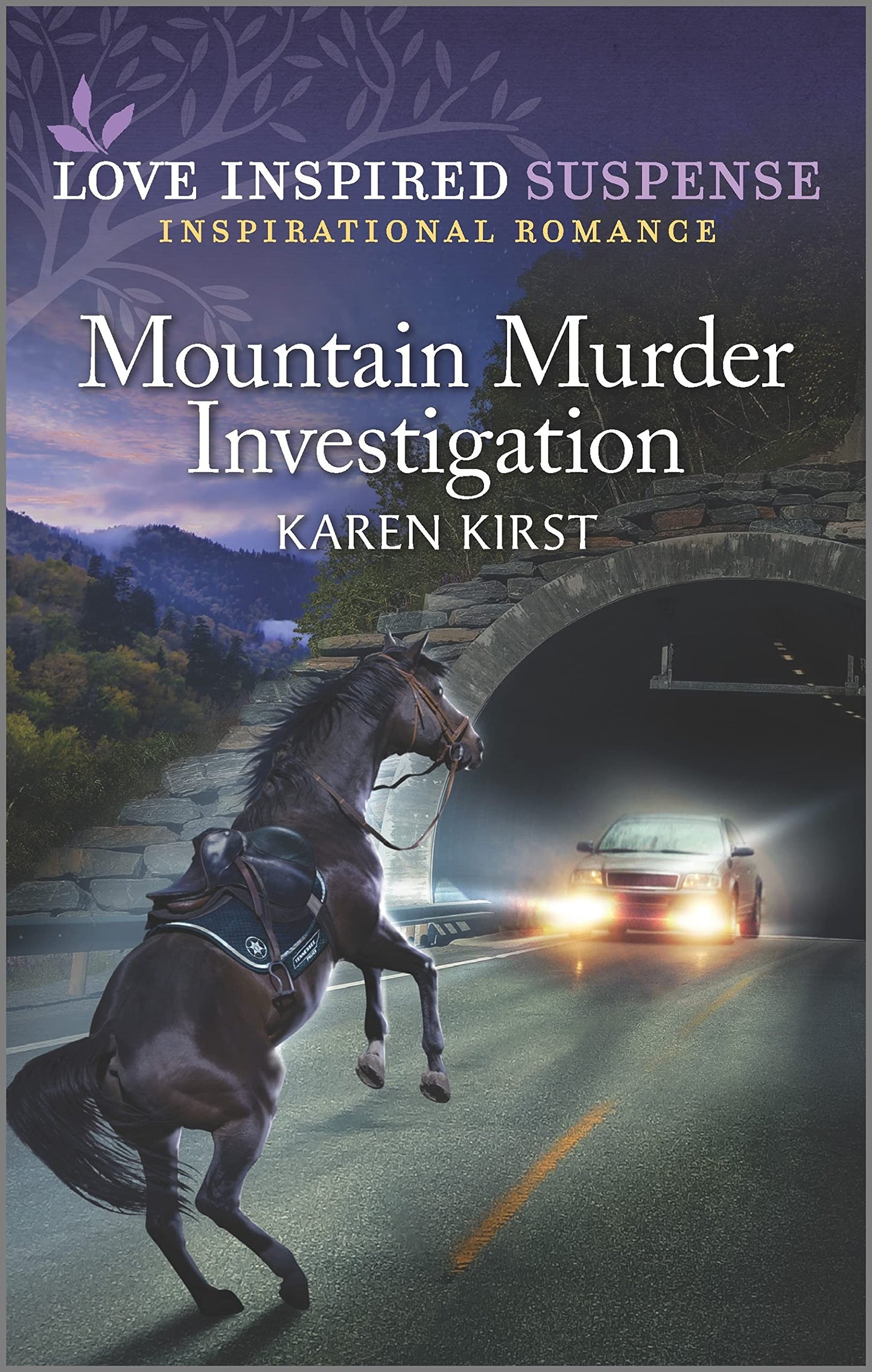 Mountain Murder Investigation (Smoky Mountain Defenders, 3)