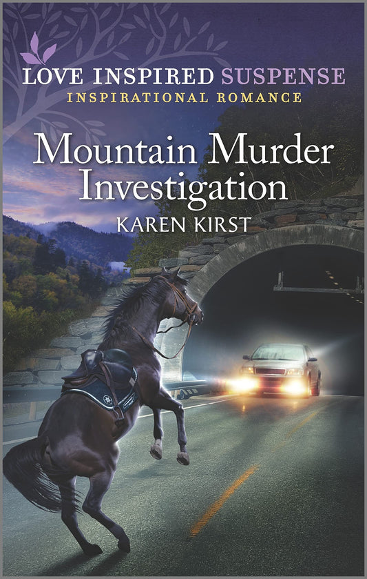 Mountain Murder Investigation (Smoky Mountain Defenders, 3)