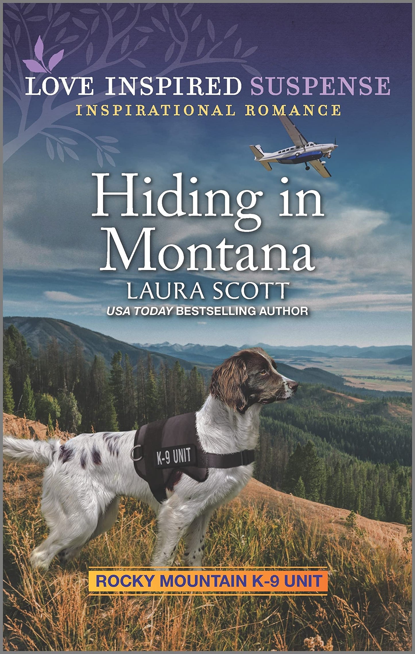 Hiding in Montana (Rocky Mountain K-9 Unit, 3)
