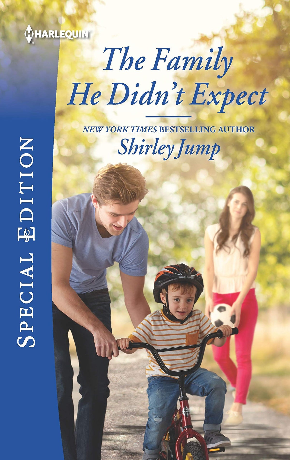 The Family He Didn't Expect (The Stone Gap Inn, 1)