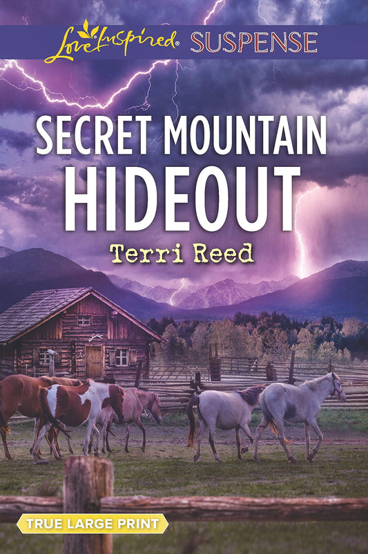 Secret Mountain Hideout (Love Inspired Suspense)