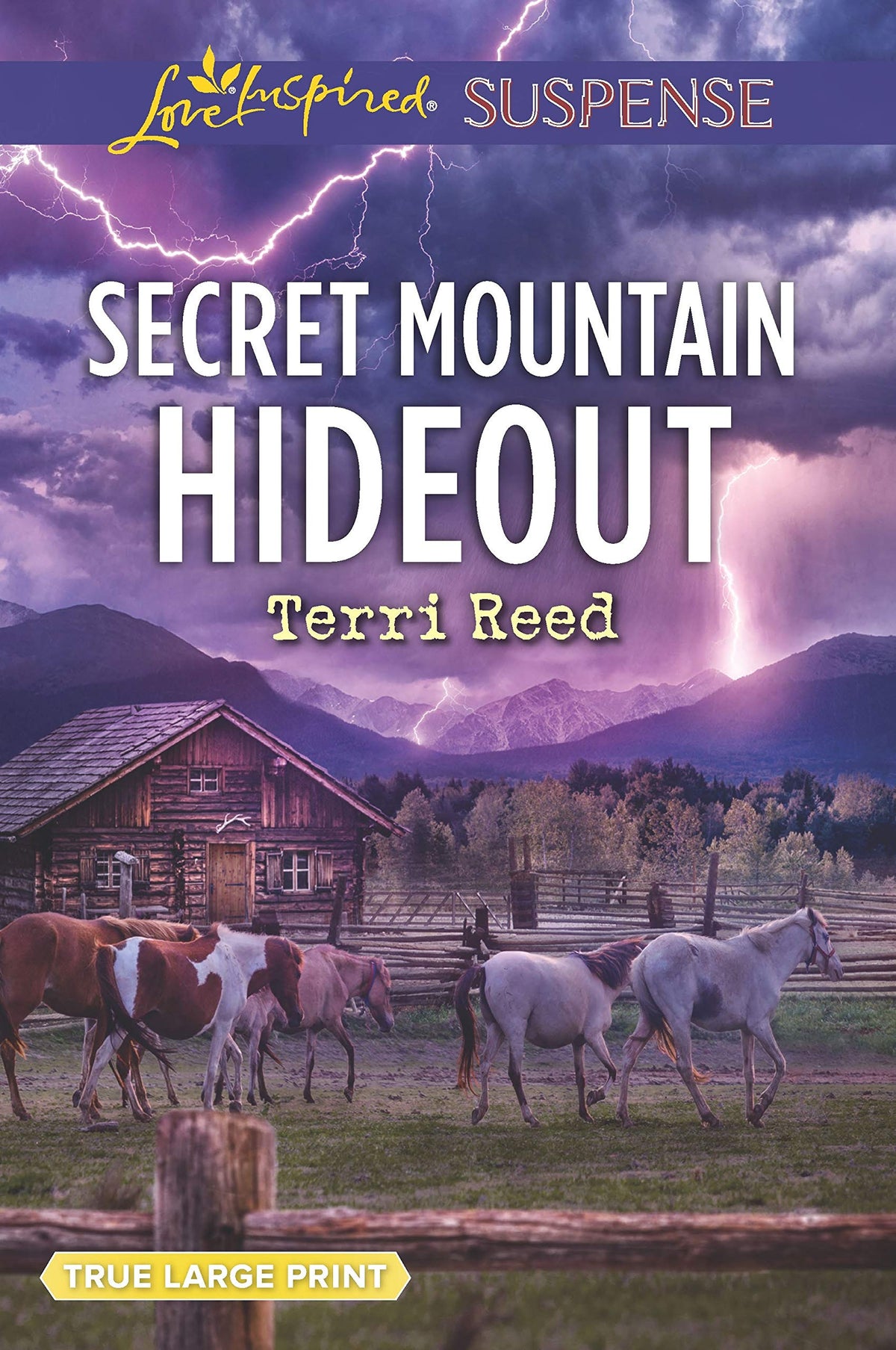 Secret Mountain Hideout (Love Inspired Suspense)