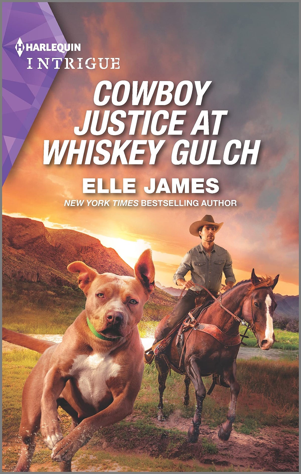 Cowboy Justice at Whiskey Gulch (The Outriders Series, 6)