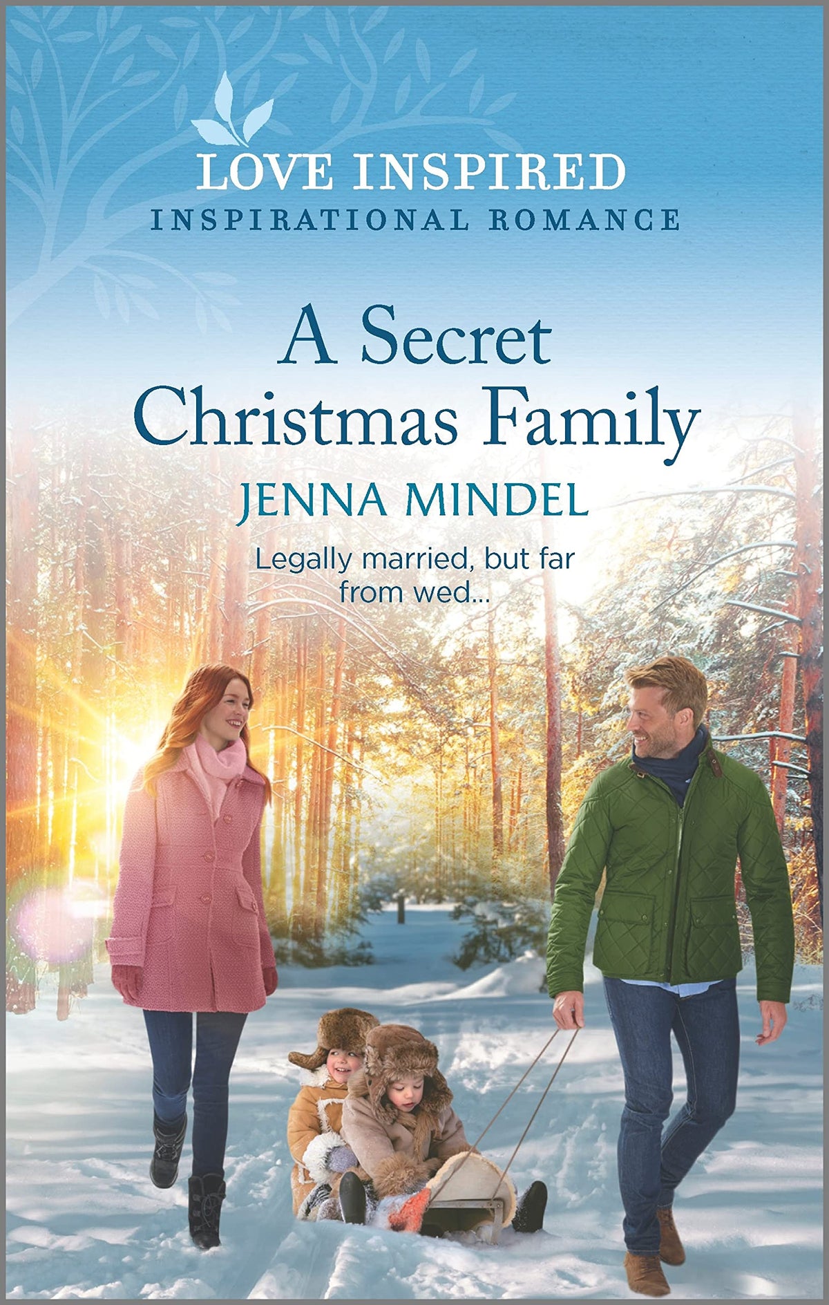 A SECRET CHRISTMAS FAMILY: AN UP