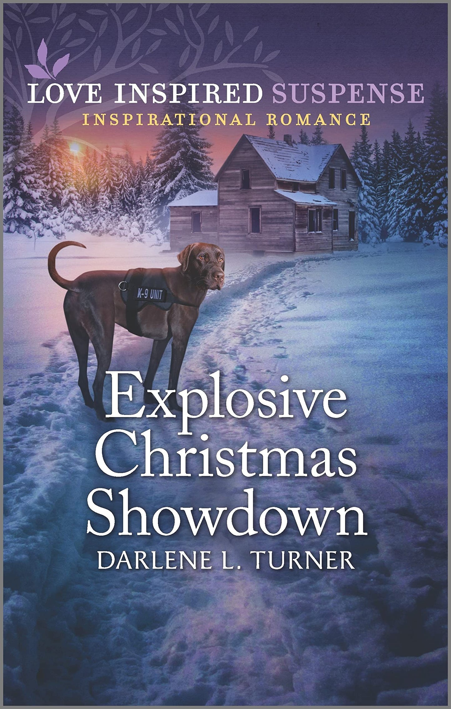 Explosive Christmas Showdown (Crisis Rescue Team, 2)