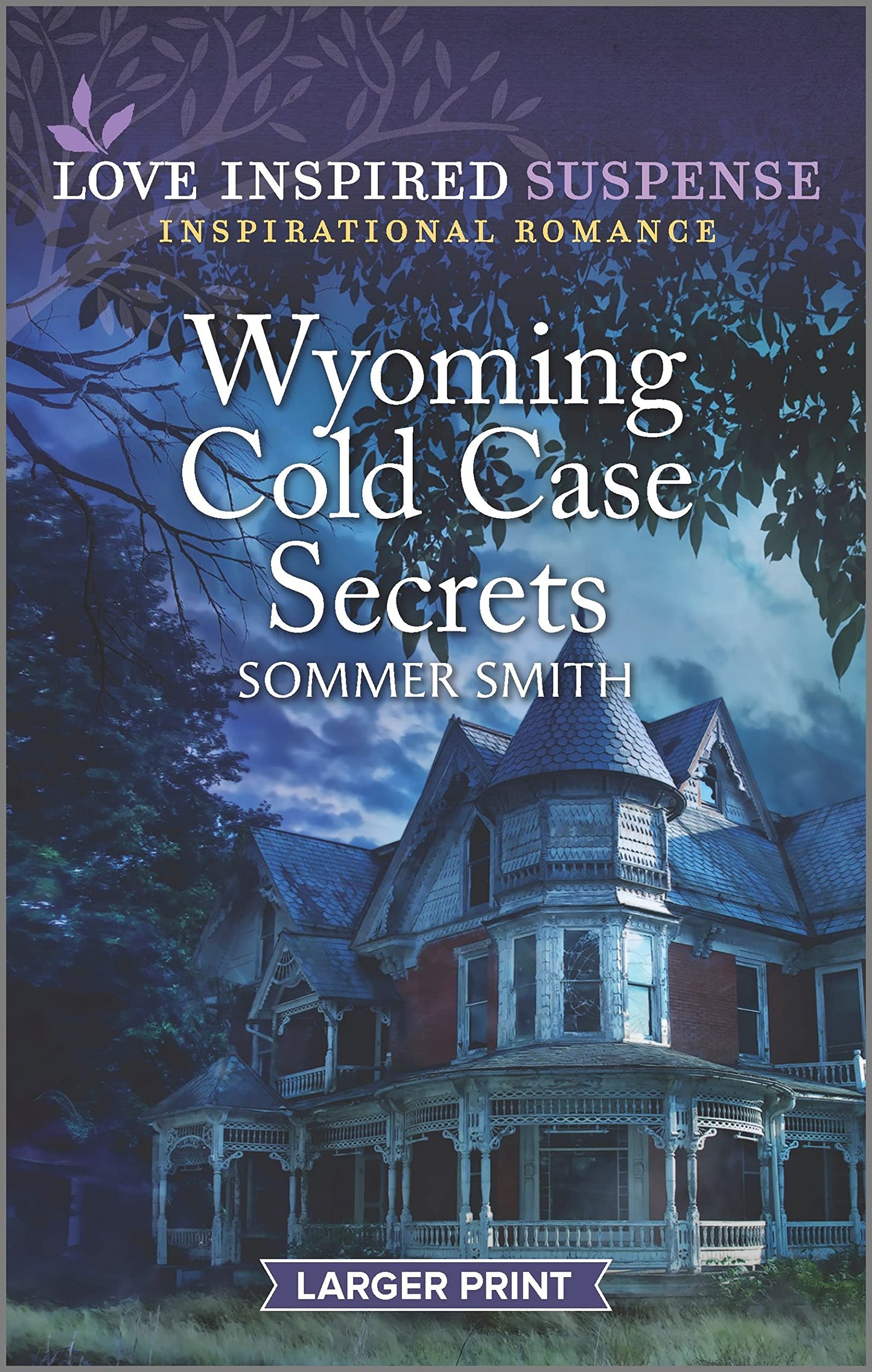 Wyoming Cold Case Secrets (Love Inspired Suspense)