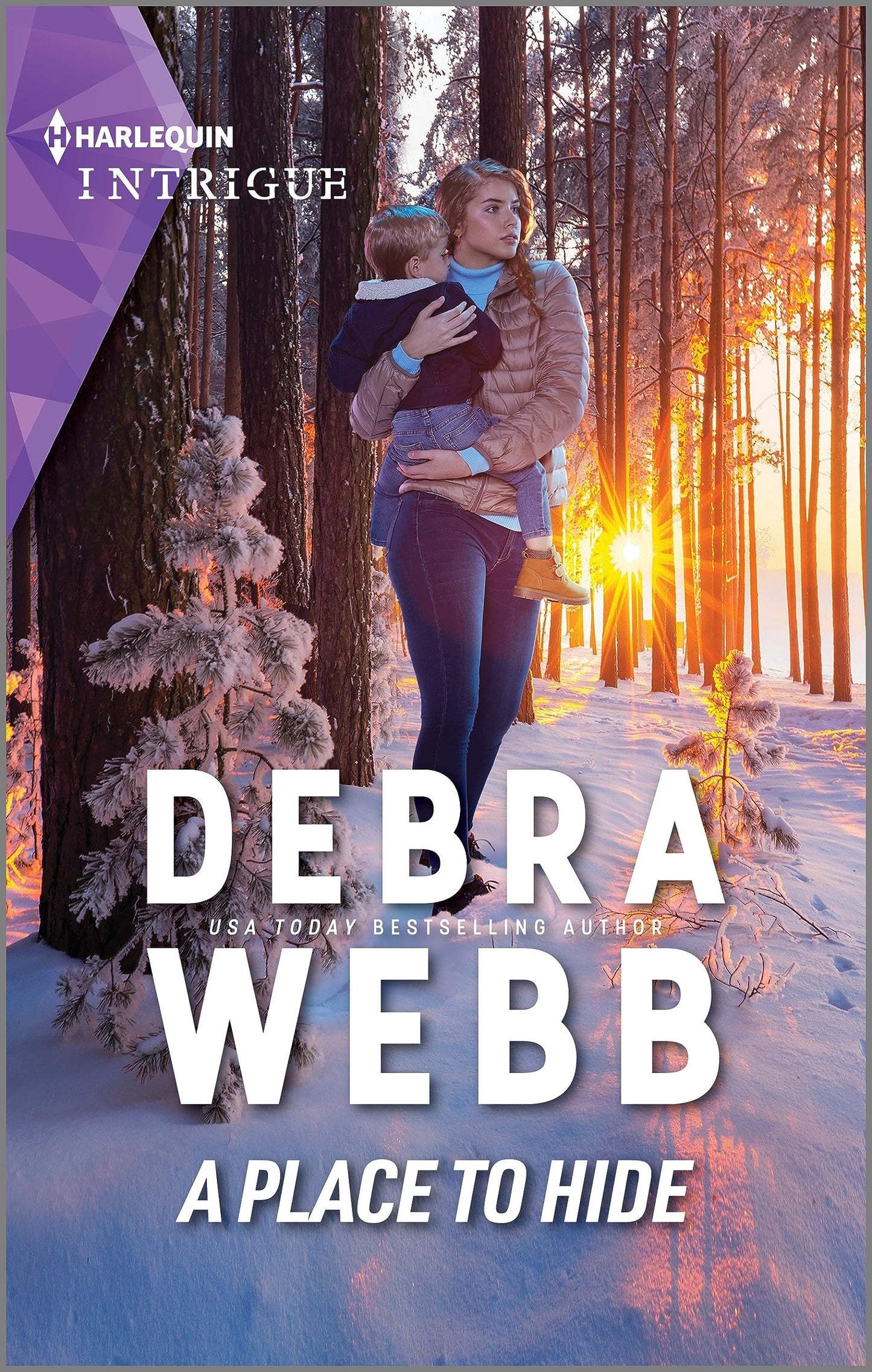 A Place to Hide (Lookout Mountain Mysteries, 3)