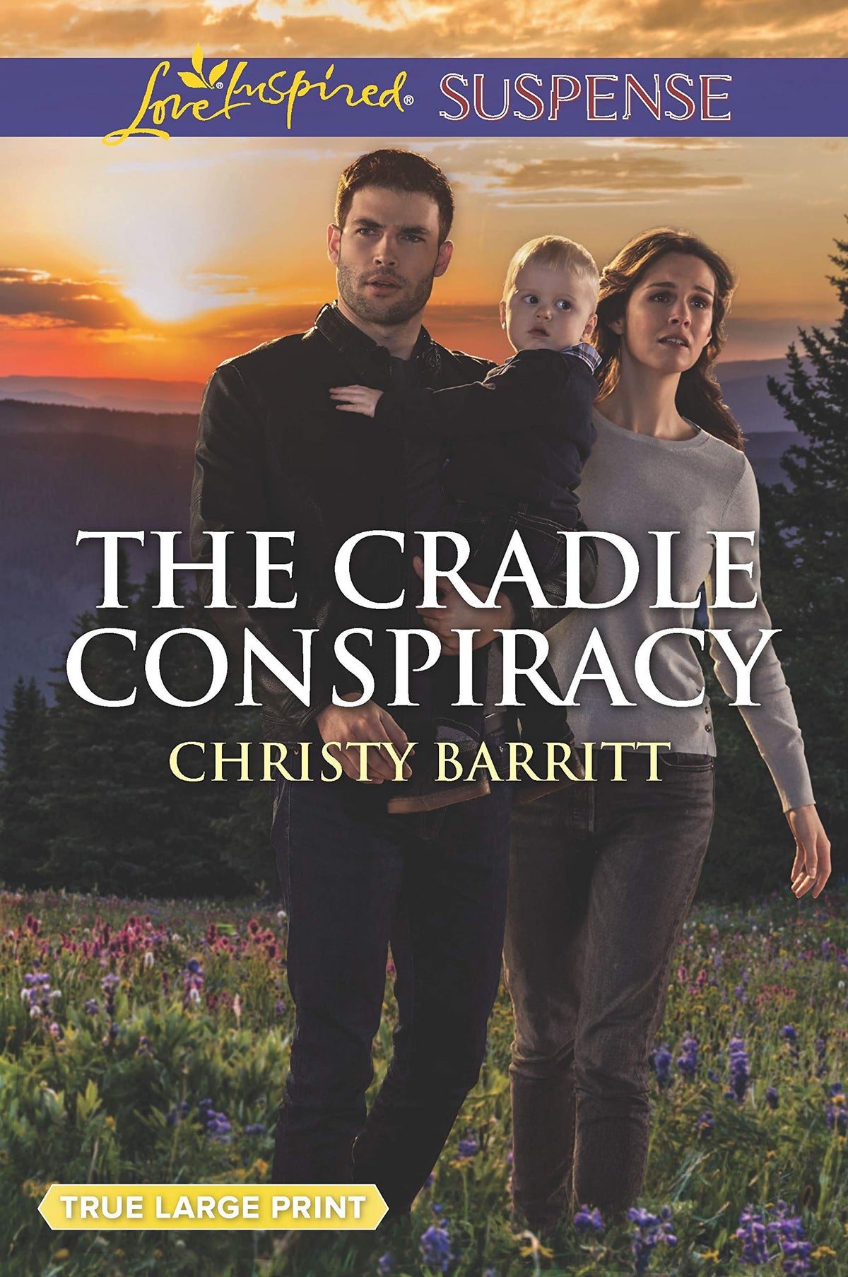 The Cradle Conspiracy (The Baby Protectors)