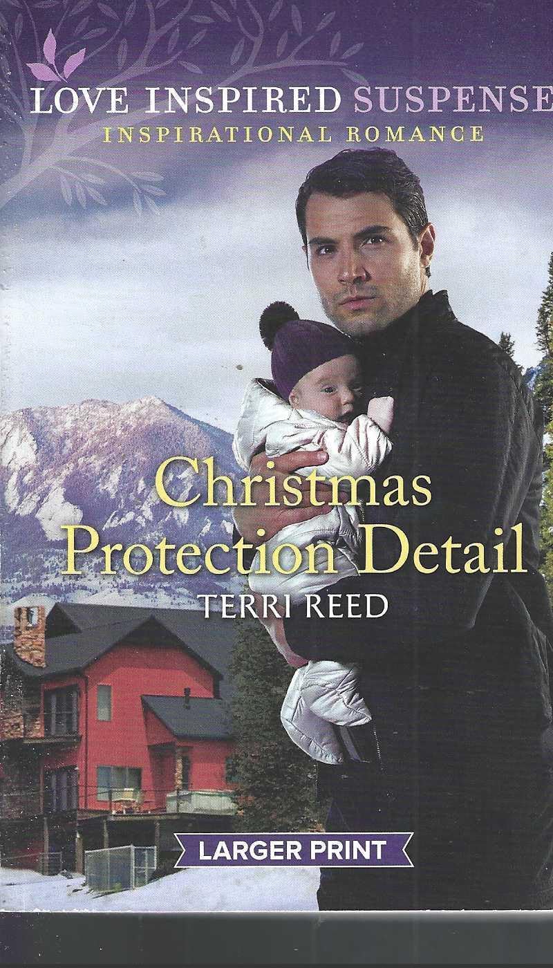 Christmas Protection Detail Large Print