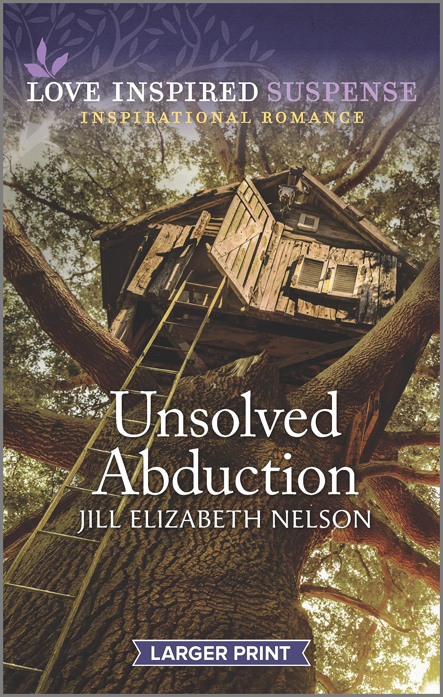 Unsolved Abduction (Love Inspired Suspense)