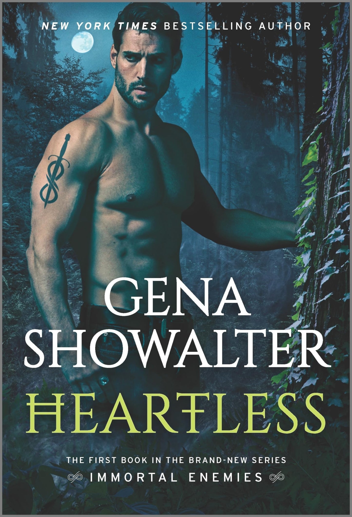 Heartless: A Paranormal Romance – A Dark Fantasy Enemies to Lovers Story of Magic and Revenge (Immortal Enemies, 1)
