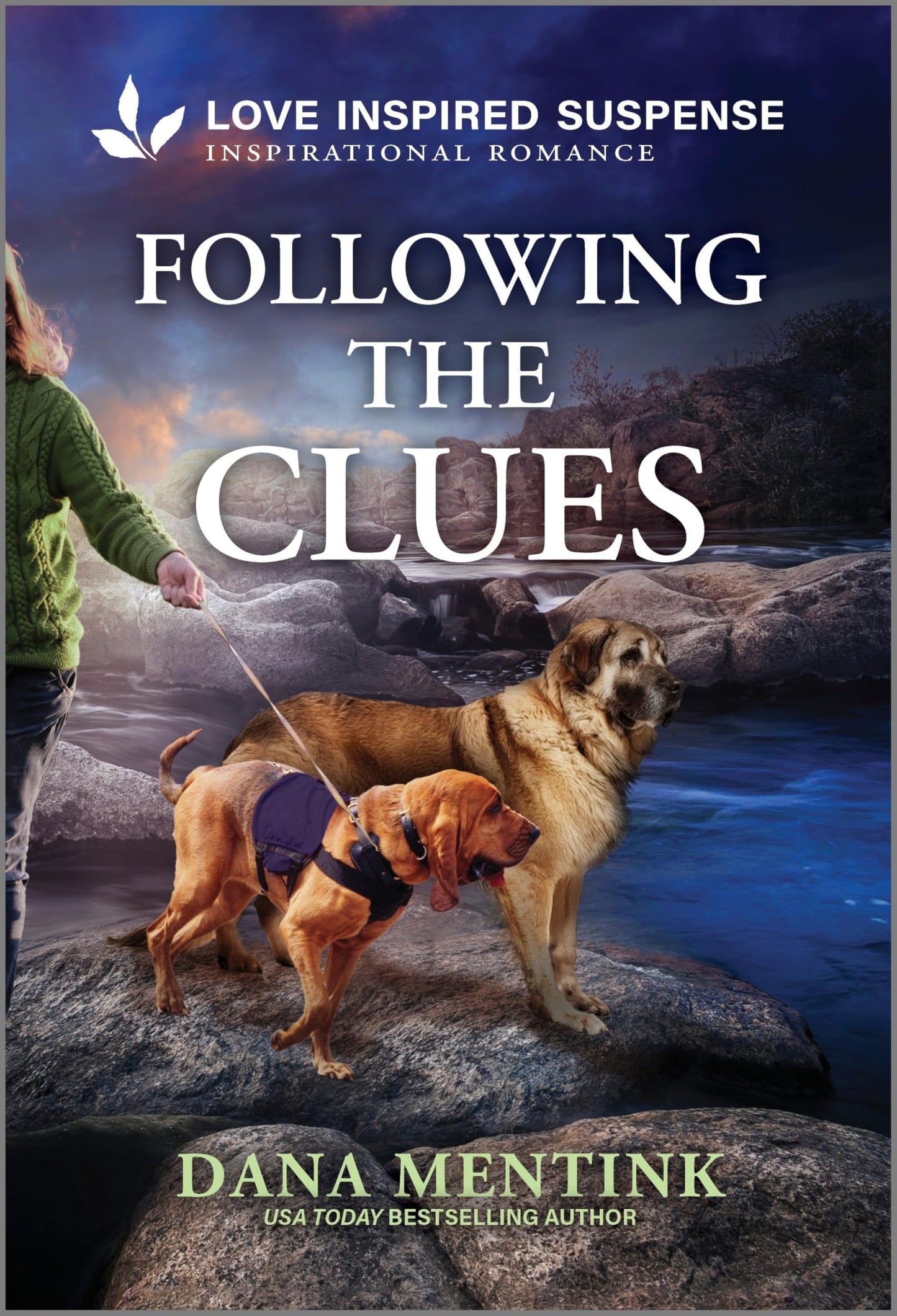 Following the Clues (Security Hounds Investigations, 4)