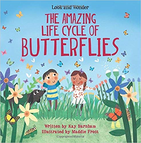 Look and Wonder: The Amazing Life Cycle of Butterflies