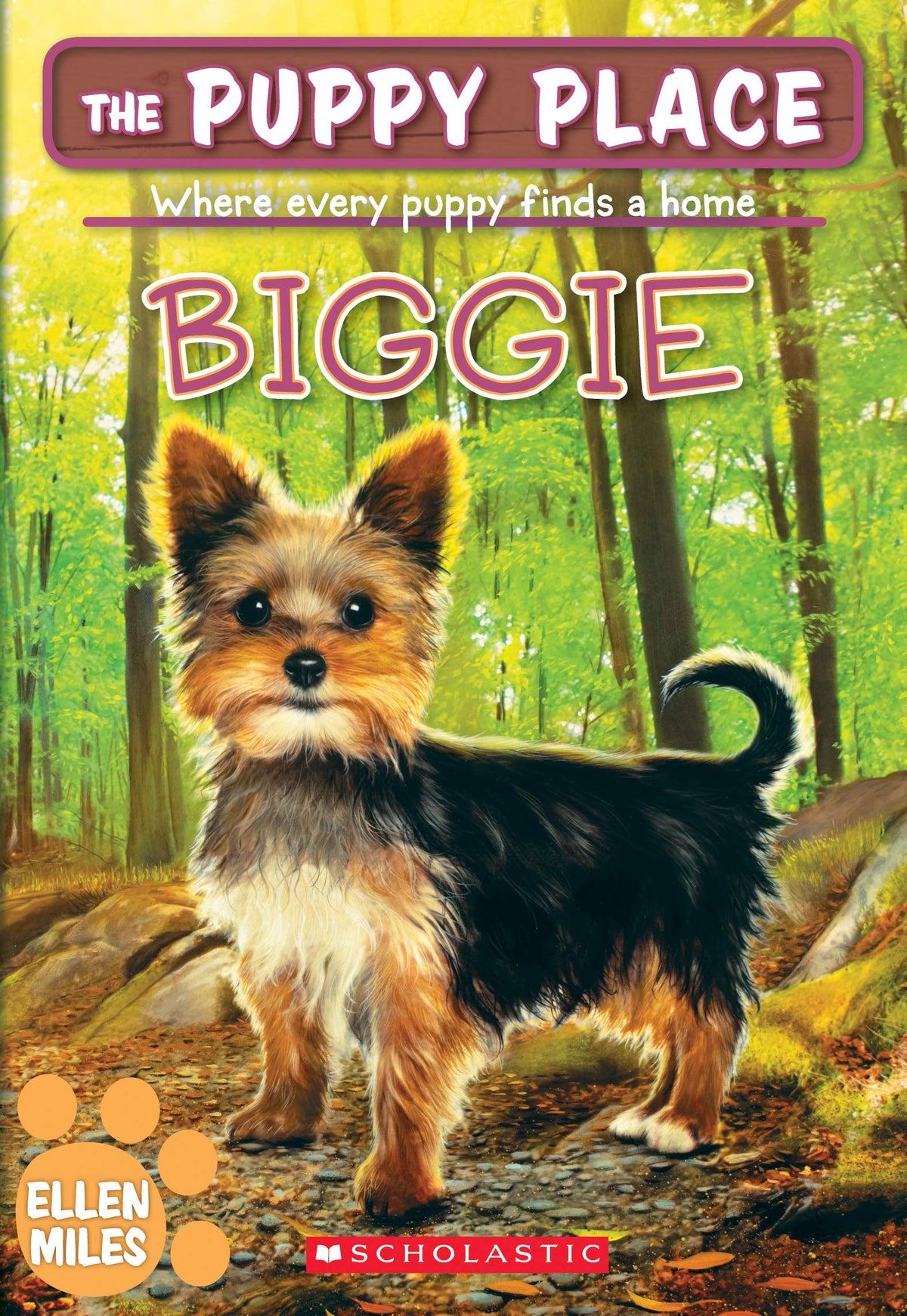 Biggie (The Puppy Place #60) (60)