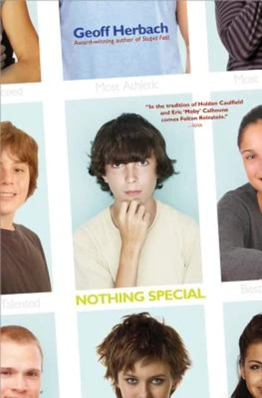 Nothing Special (Felton Reinstein trilogy, 2)