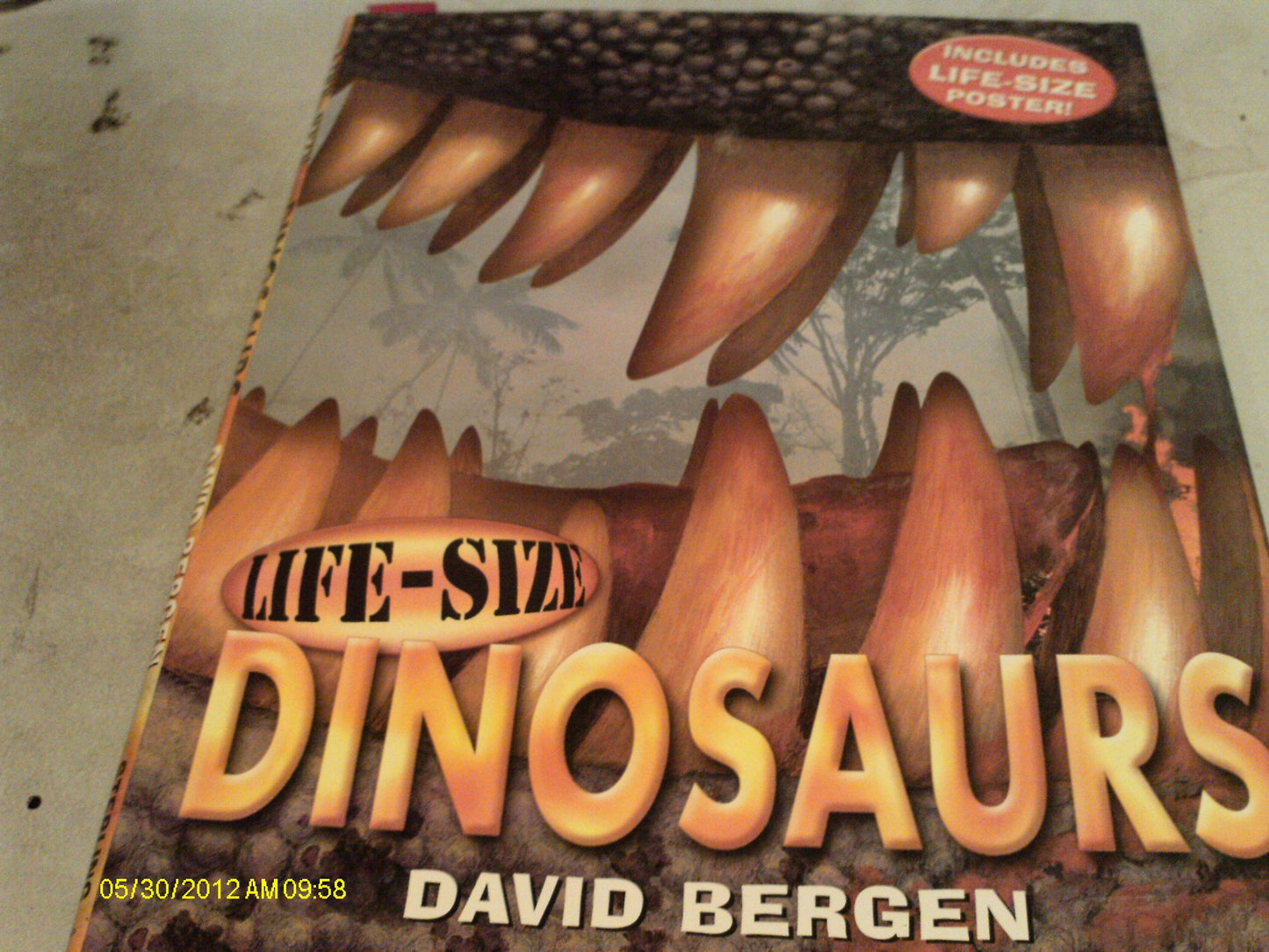Life-Size Dinosaurs (Life-Size Series)