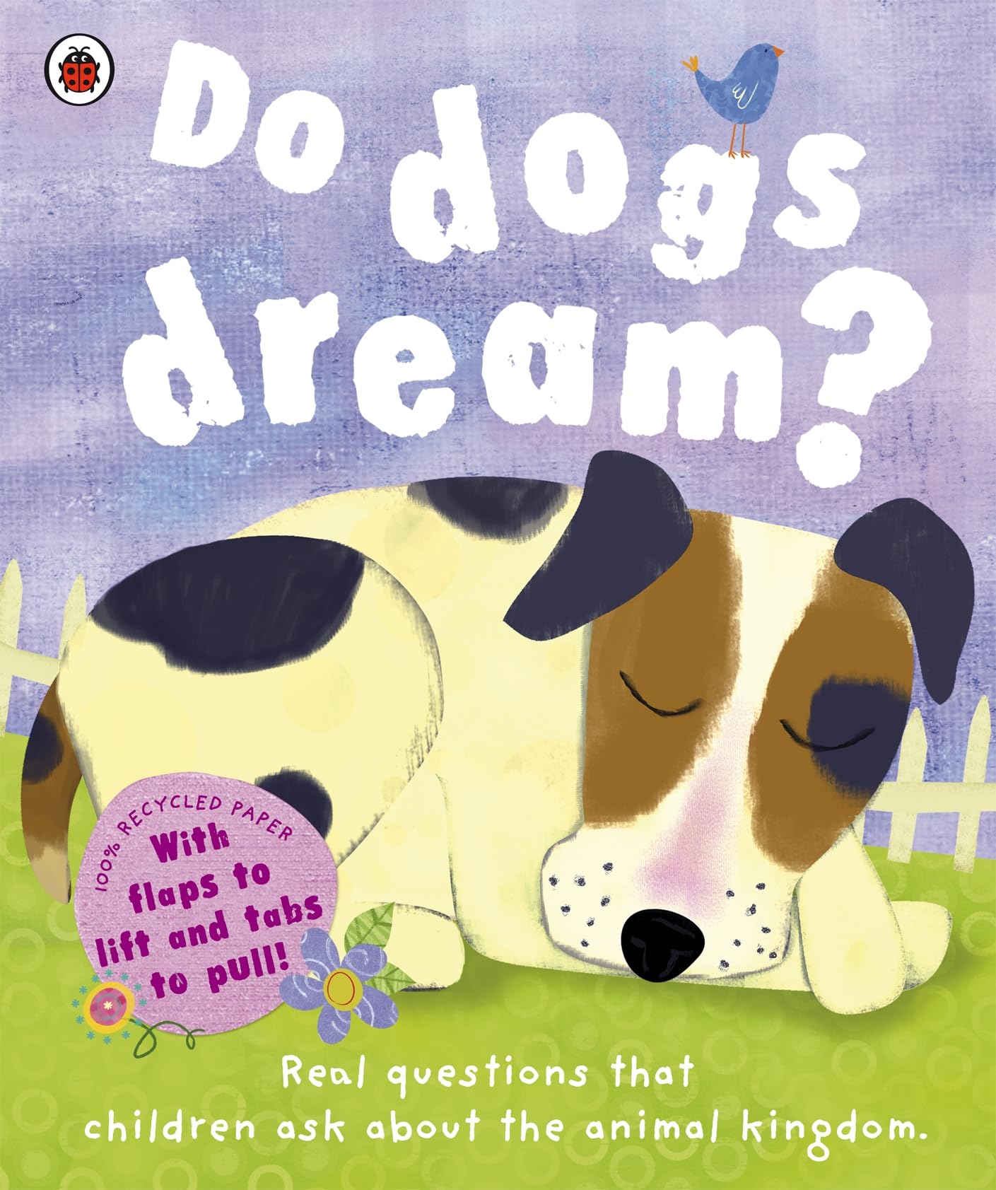 Do Dogs Dream?