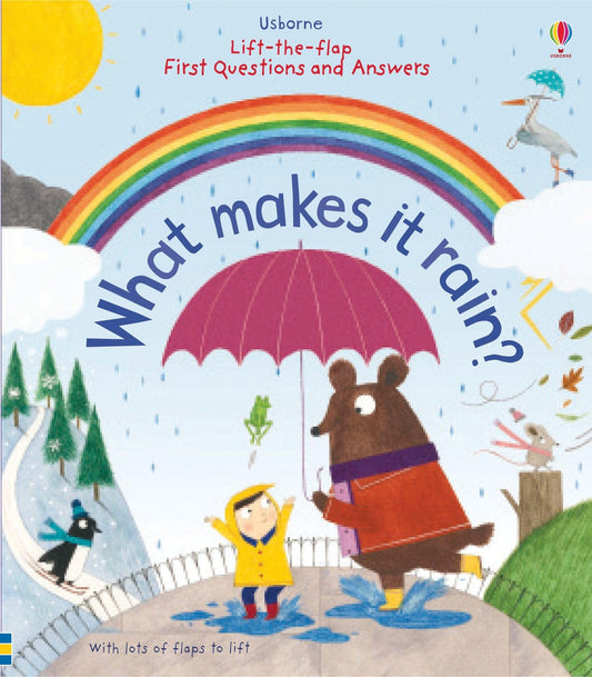 Lift The Flap First Q&A What Makes Rain