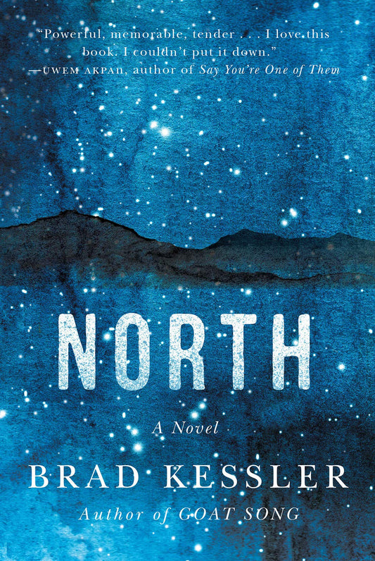 North: Arctic-set novel of perilous journeys, shifting ice, and inner resolve.