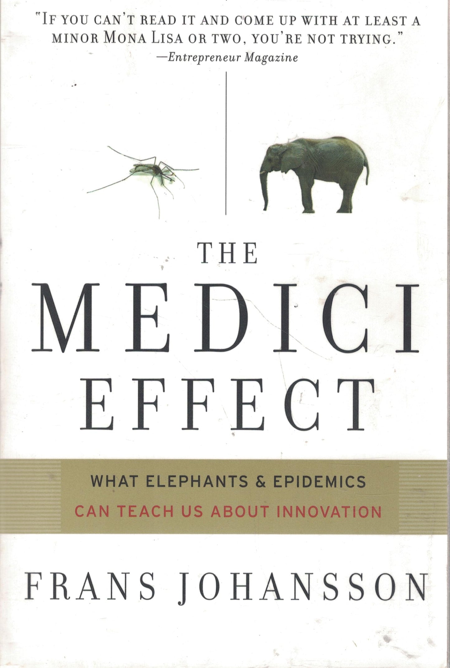 The Medici Effect: What Elephants and Epidemics Can Teach Us About Innovation