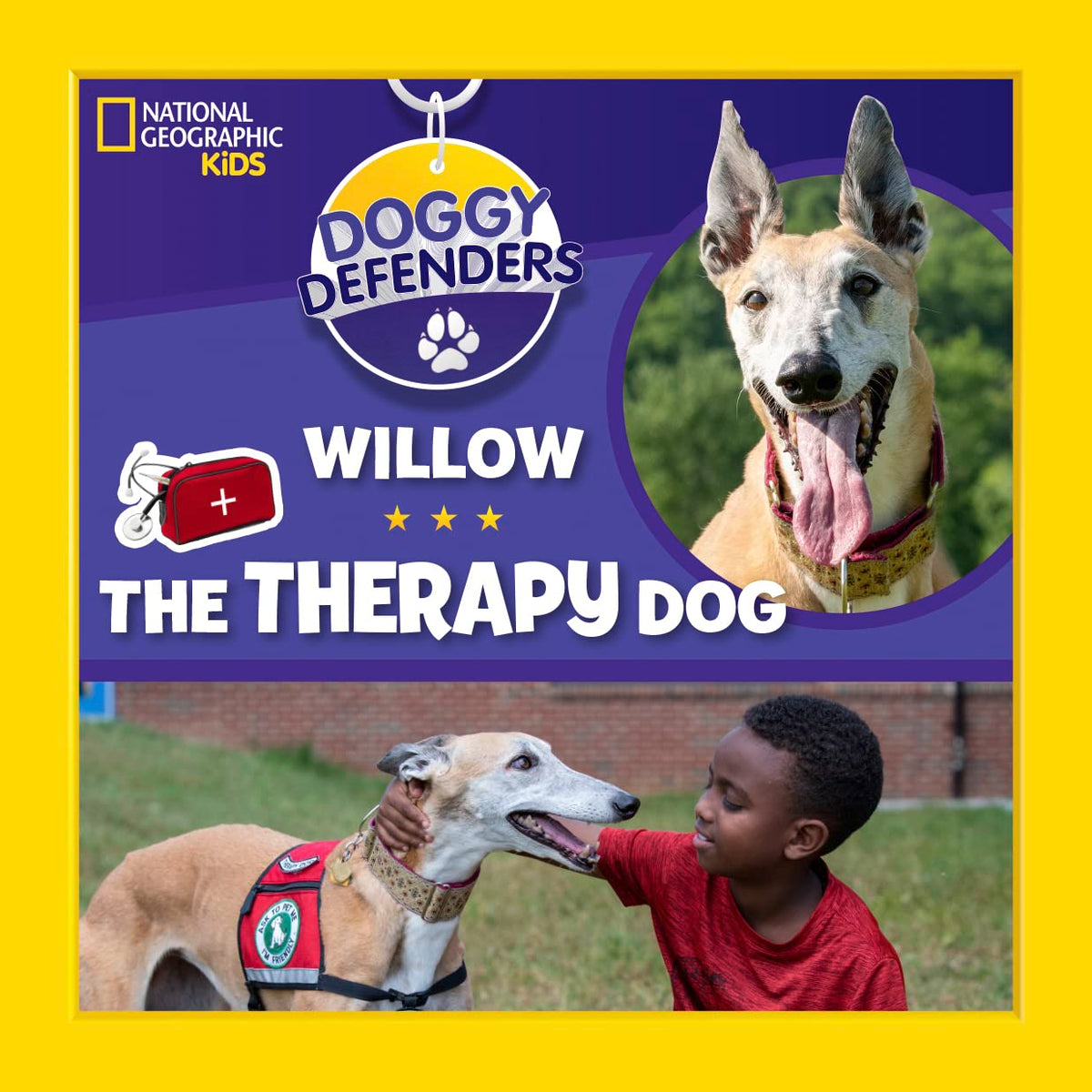 Doggy Defenders: Willow the Therapy Dog